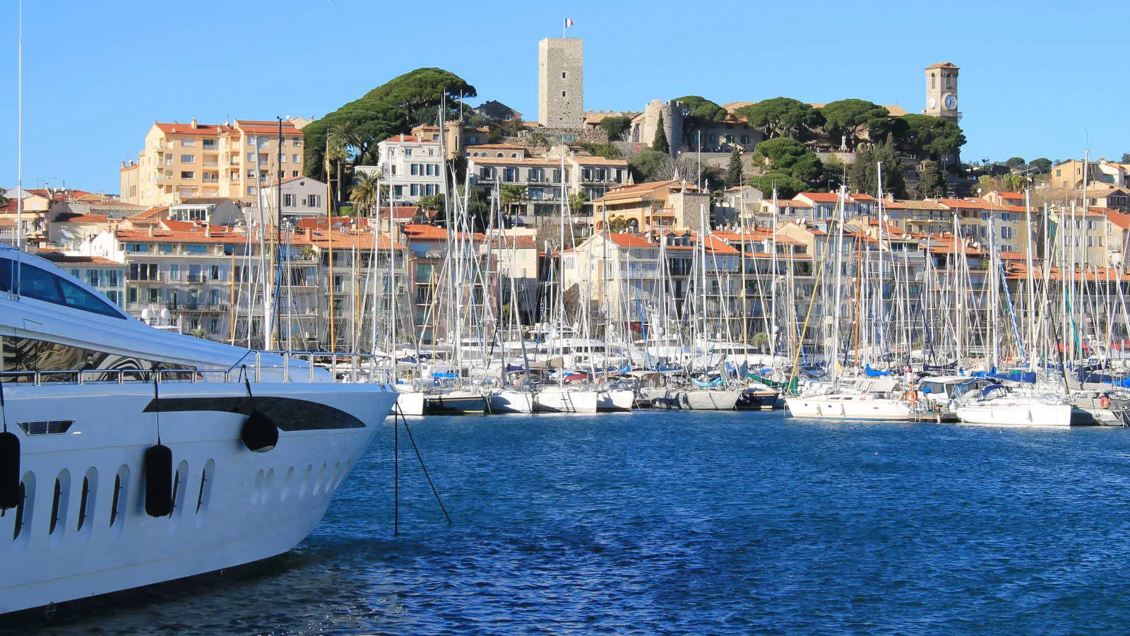 Sailing and boat trips