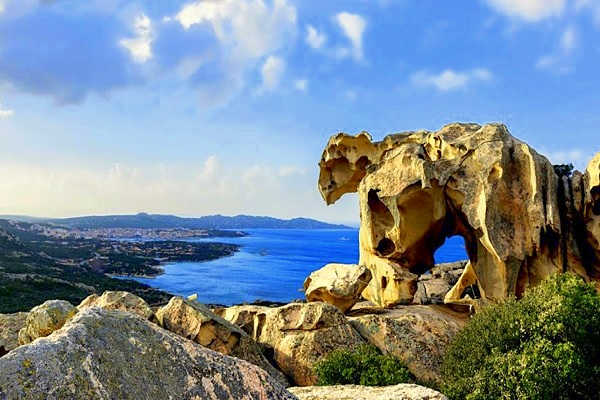 Charter Region Sardinien